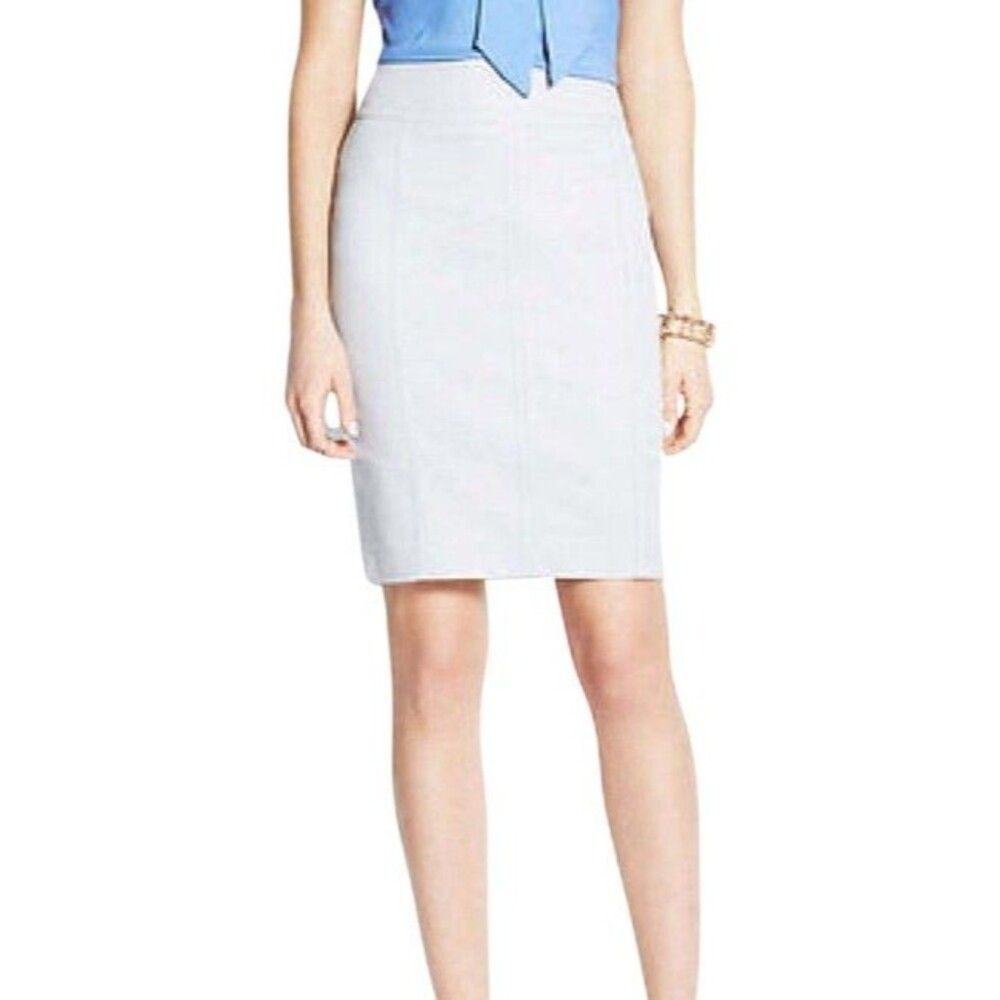 Ann Taylor Women's Skirt Astor Light Gray Pencil Skirt Size 10 NWOT